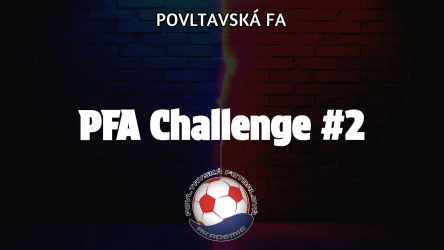 PFA Challenge #2