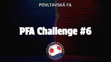 PFA Challenge #6