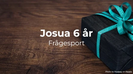 Josua 6 år frågesport