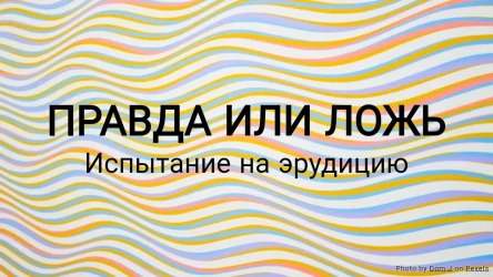 Викторина: Правда или ложь — Испытание на эрудицию