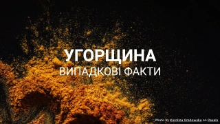 Вікторина про Угорщину (Серія випадкових фактів)