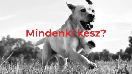 Június 4