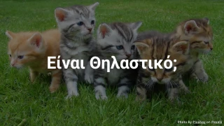 Κουίζ Ζώων: Είναι Θηλαστικό;