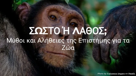 Σωστό ή Λάθος; Μύθοι και Αλήθειες της Επιστήμης για τα Ζώα