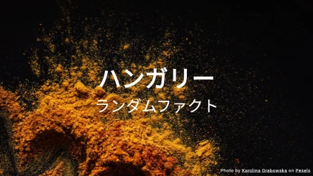 ハンガリークイズ（ランダムファクトシリーズ）