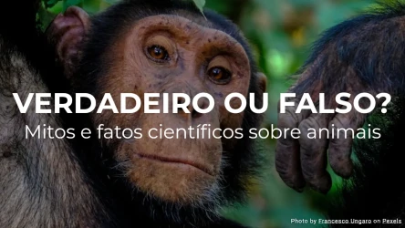 Verdadeiro ou falso? Mitos e fatos científicos sobre animais