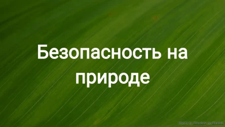 Безопасность на природе