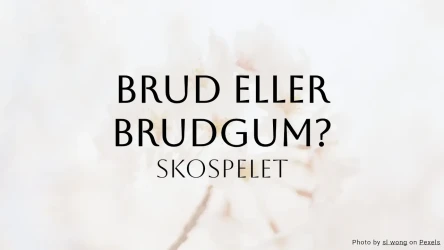Brud eller brudgum bröllopsquiz - skospelet