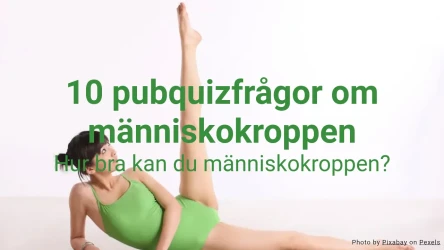 10 pubquizfrågor om människokroppen