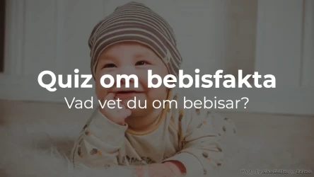 Fakta om bebisar: Vad vet du om bebisar?