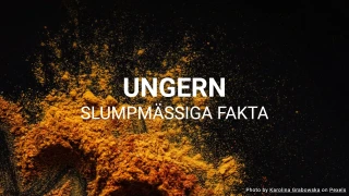 Ungern Quiz (Slumpmässiga Fakta Serien)