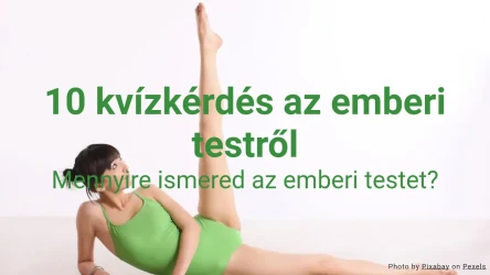 10 kvízkérdés az emberi testről
