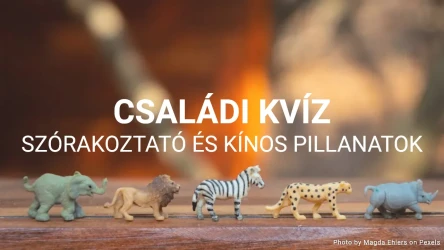 Családi Kvíz Sablon