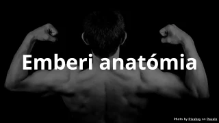 Emberi anatómia kvíz - feleletválasztós