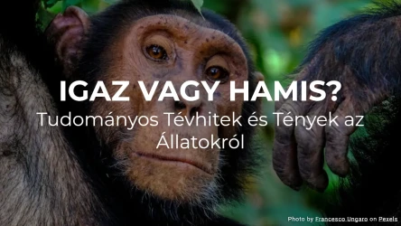 Igaz vagy hamis? Tudományos tévhitek és tények az állatokról