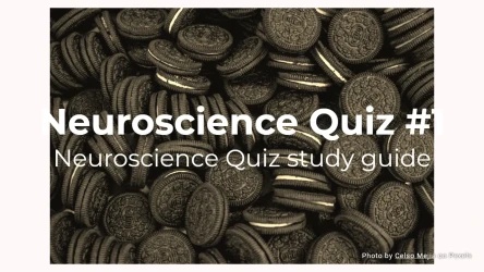 Brand Awareness Quiz Template