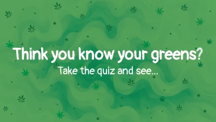 Think you know your greens? Take the quiz...