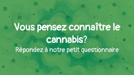 Think you know your greens? Take the quiz...