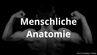 Quiz zur menschlichen Anatomie