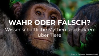 Wahr oder falsch? Wissenschaftliche Mythen und Fakten über Tiere