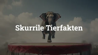 Quiz: Kuriose Tierfakten