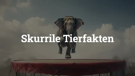 Quiz: Kuriose Tierfakten
