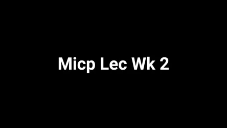 MICP (Lec) Wk 2