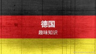 德国趣味知识问答