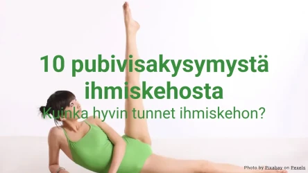 10 pubivisakysymystä ihmisen kehosta