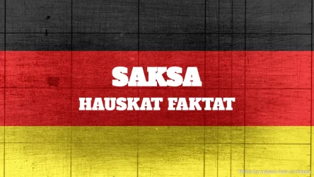 Saksa Hauskat Faktat -visa