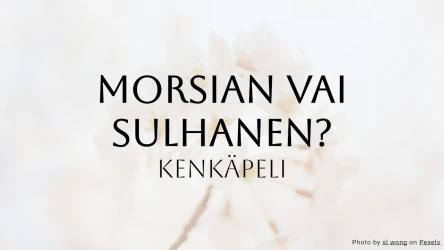 Morsian vai sulhanen - Häävisailu: Kengäpeli