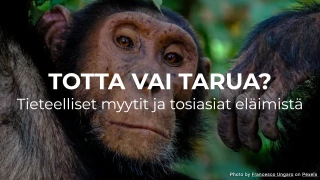 Totta vai tarua? Tieteelliset myytit ja tosiasiat eläimistä