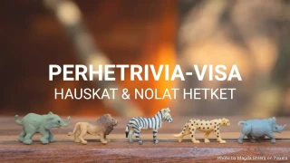 Perhetrivia-visapohja