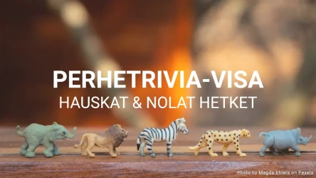 Perhetrivia-visapohja