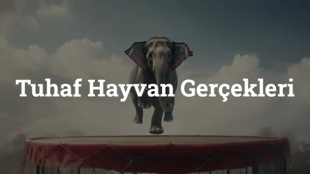 Tuhaf Hayvan Gerçekleri Testi