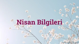 Nisan Bilgi Yarışması