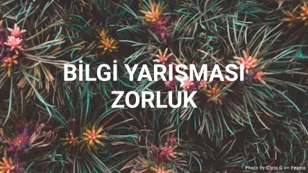 Bilgi Yarışması Orta Seviye Zorluk - 10 Bar Quiz Sorusu