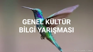 Genel Kültür Bilgi Yarışması - Zekânızı Test Edecek 10 Soru