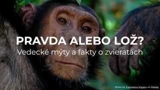Pravda alebo lož? Vedecké mýty a fakty o zvieratách