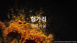 헝가리 퀴즈 (랜덤 사실 시리즈)