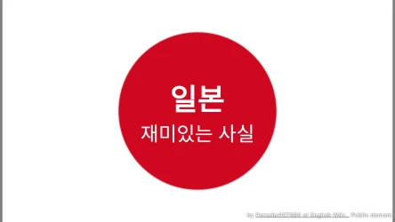 일본 재미있는 사실 퀴즈