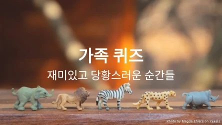 가족 퀴즈 템플릿