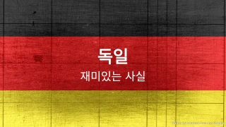 독일 재미있는 사실 퀴즈