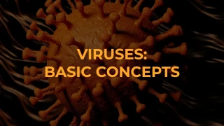 Viruses Quiz