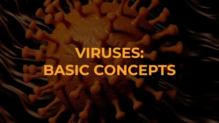 Viruses Quiz - Basic Concepts