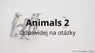 Test: Animals 2 - Odpovězte na otázky