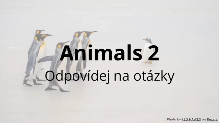 Test: Animals 2 - Odpovězte na otázky