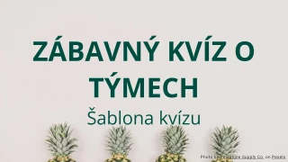 Šablona kvízu o týmech