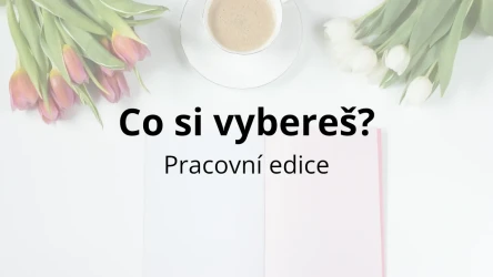 Co si vybereš? 25 otázek zaměřených na práci