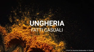 Quiz sull'Ungheria (Serie di Fatti Casuali)